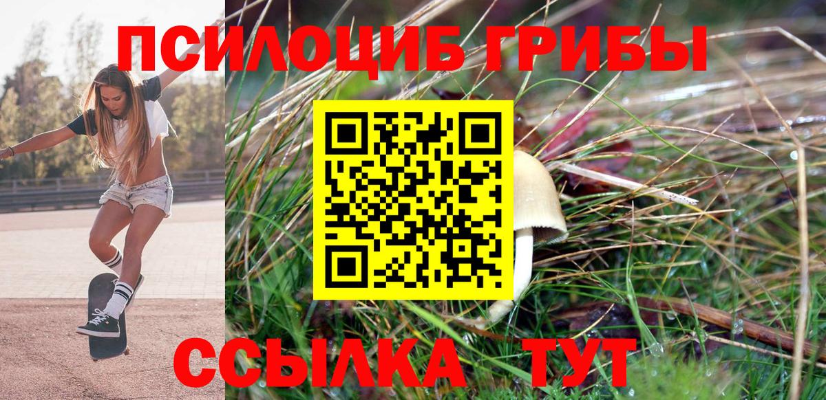 Калининград  Галлюциногенные грибы мухоморы  Вход с VPN  Псилоцибиновые грибы ЛСД 