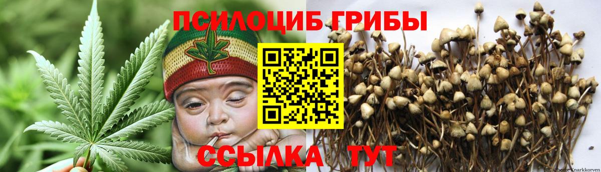 Галлюциногенные грибы мицелий Калининград