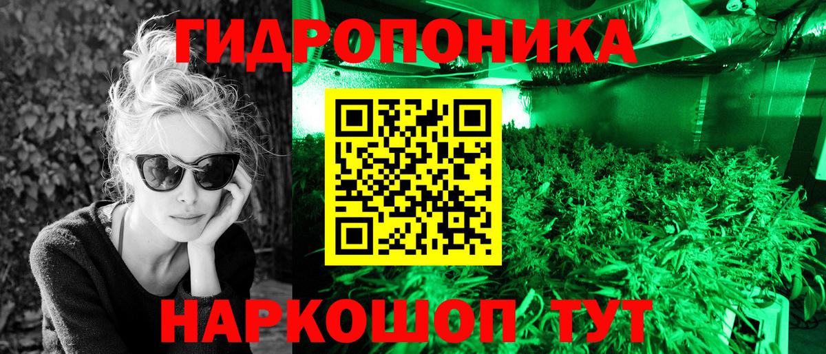 Канабис SATIVA & INDICA Калининград